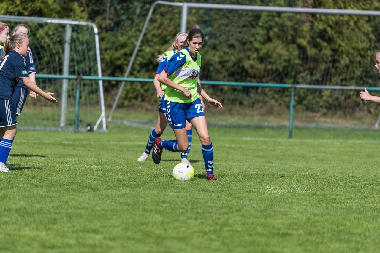 Bild 171 - B-Juniorinnen VfL Pinneberg - HSV : Ergebnis: 1:4